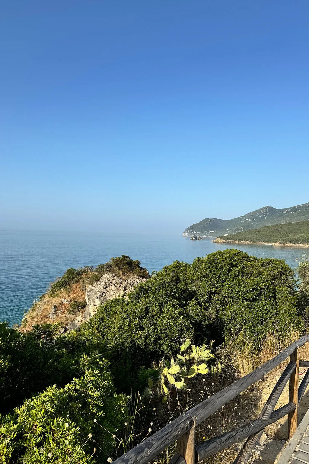 [background image] image of concert venue