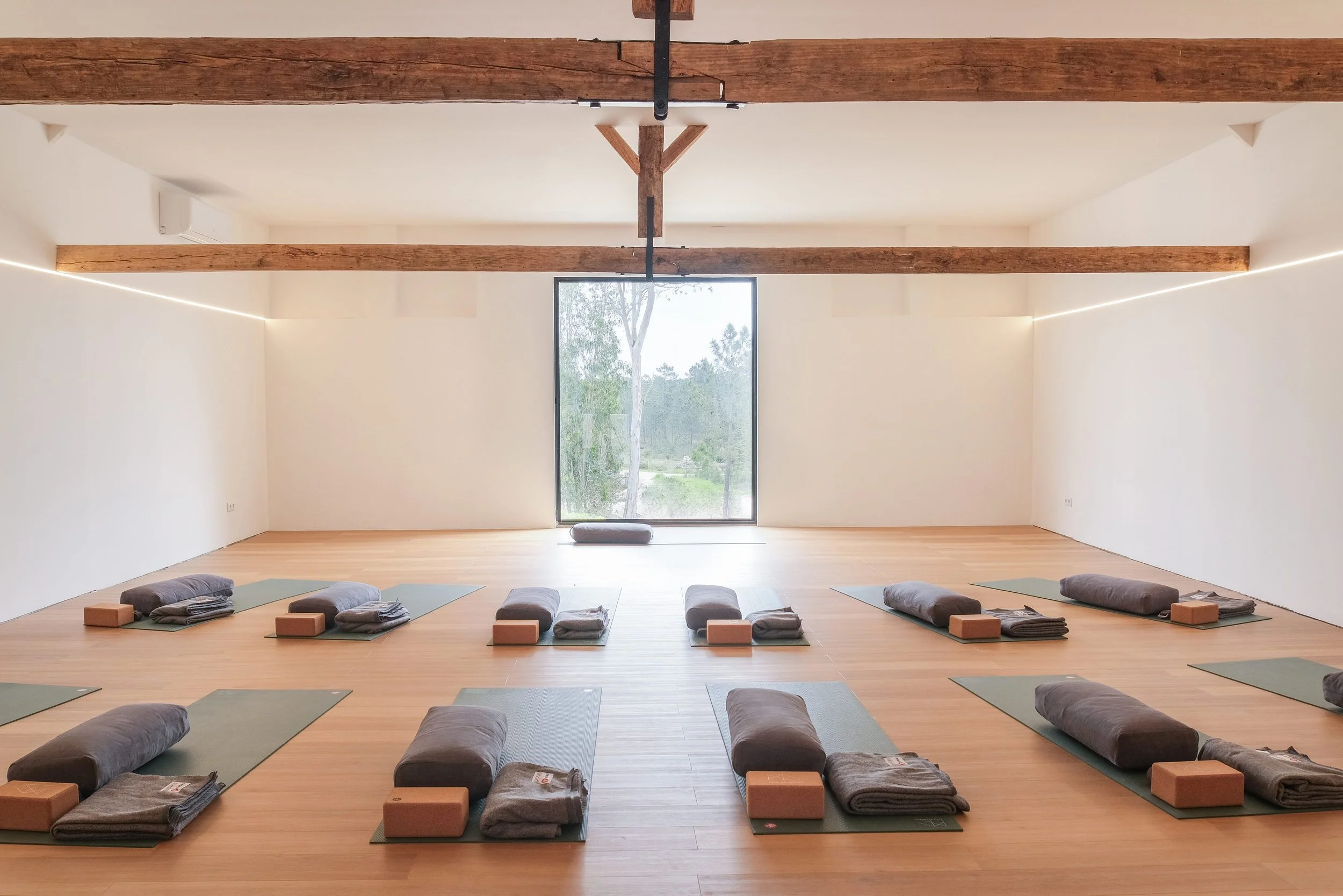 [background image] image of concert venue