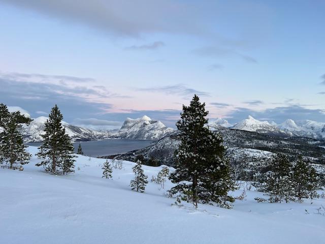 [background image] image of concert venue