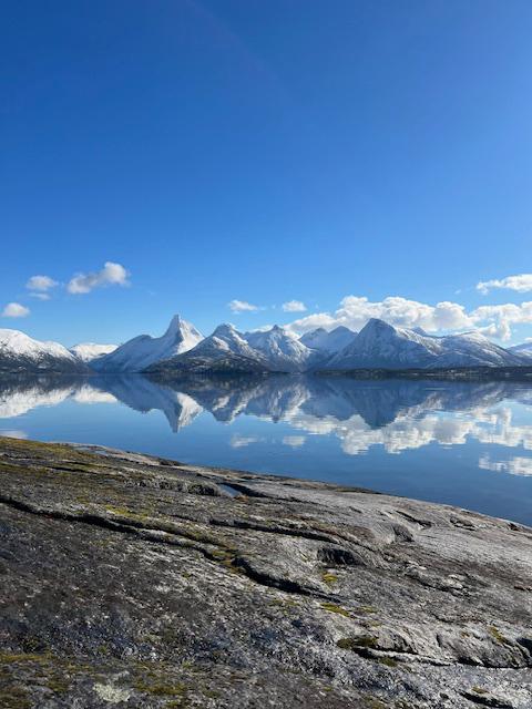 [background image] image of concert venue