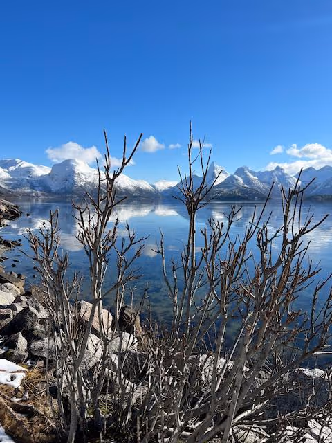 [background image] image of concert venue