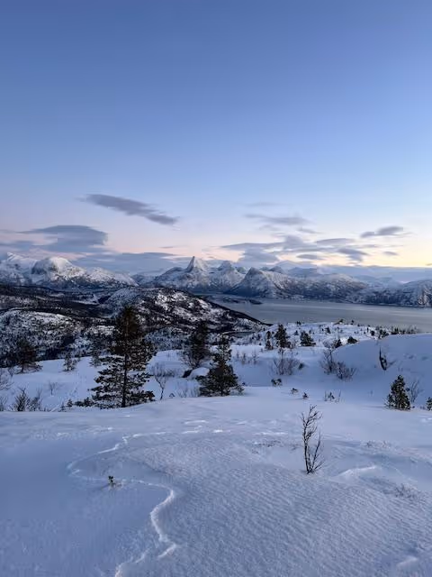 [background image] image of concert venue