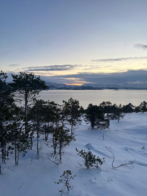 [background image] image of concert venue