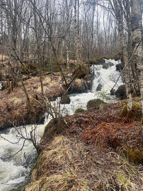 [background image] image of concert venue