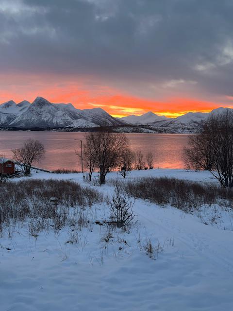 [background image] image of concert venue