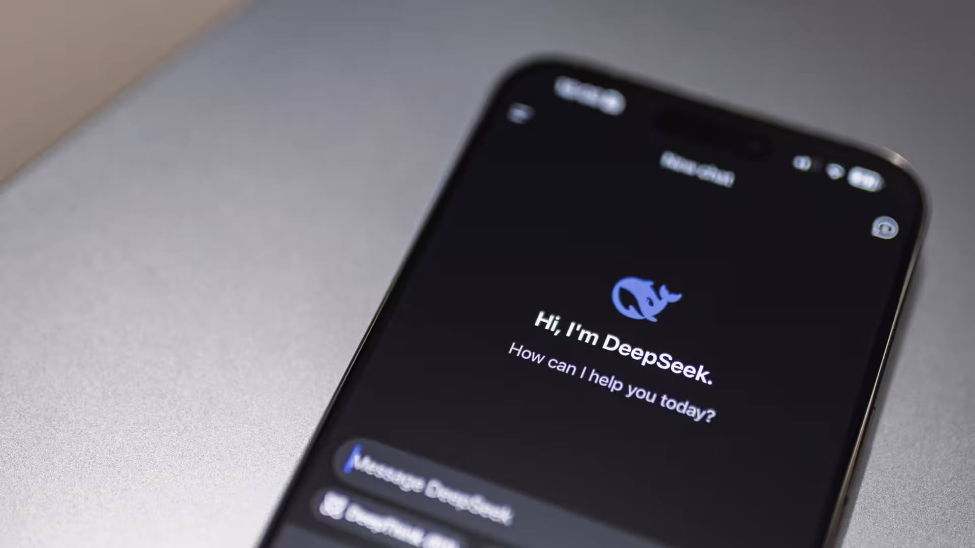 Chatbot Deepseek on a Smartphone