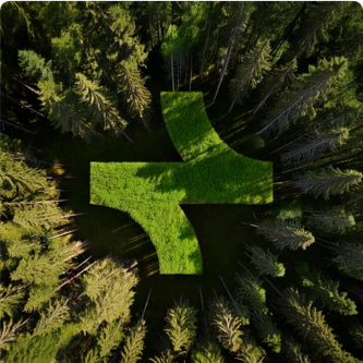 Aerial view of a forest with a green cross-shaped clearing in the center.
