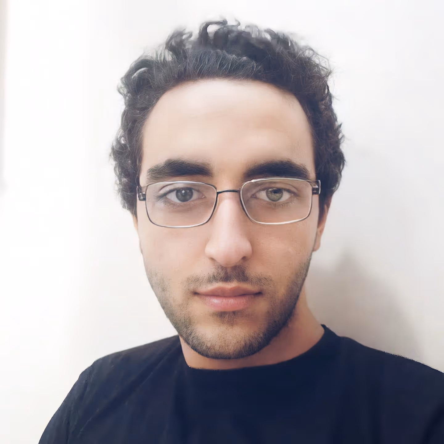 mahmoud abdelaziz abdallah badr