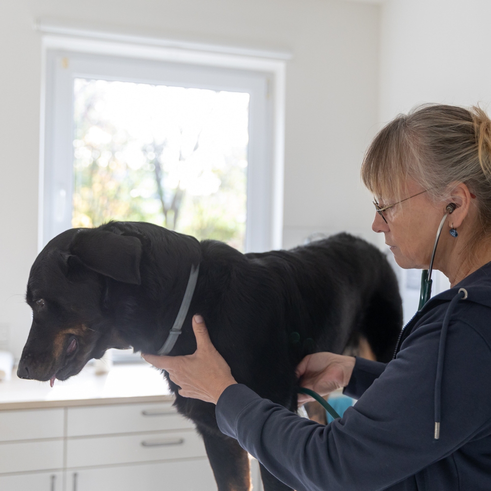 Vorsorge & Schutzimpfungen