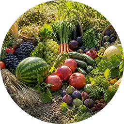 Argriculture