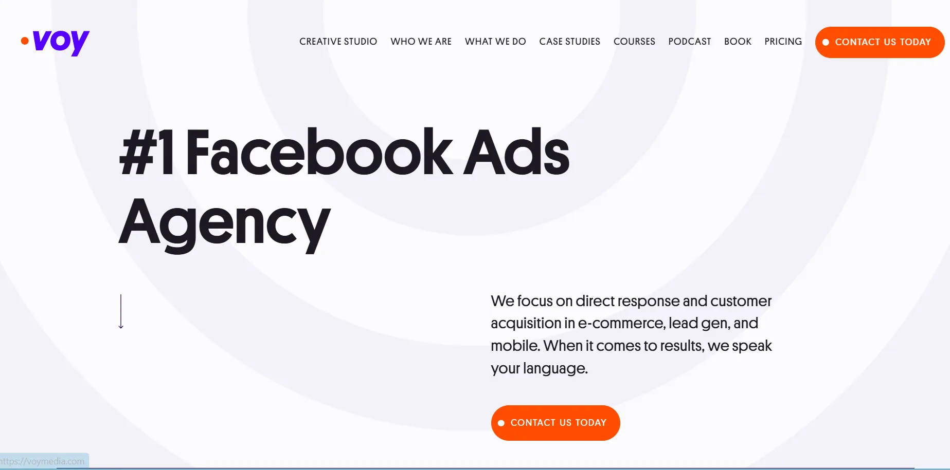 Ecommerce Marketing Agency - Voy Media