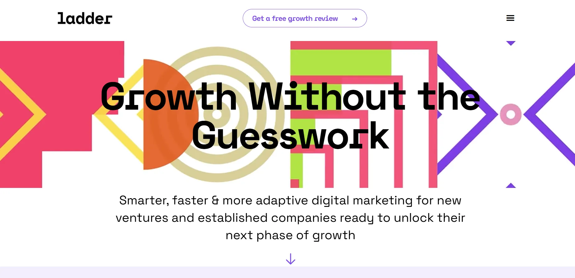 Growth Marketing Agency for Enterprise - Ladder