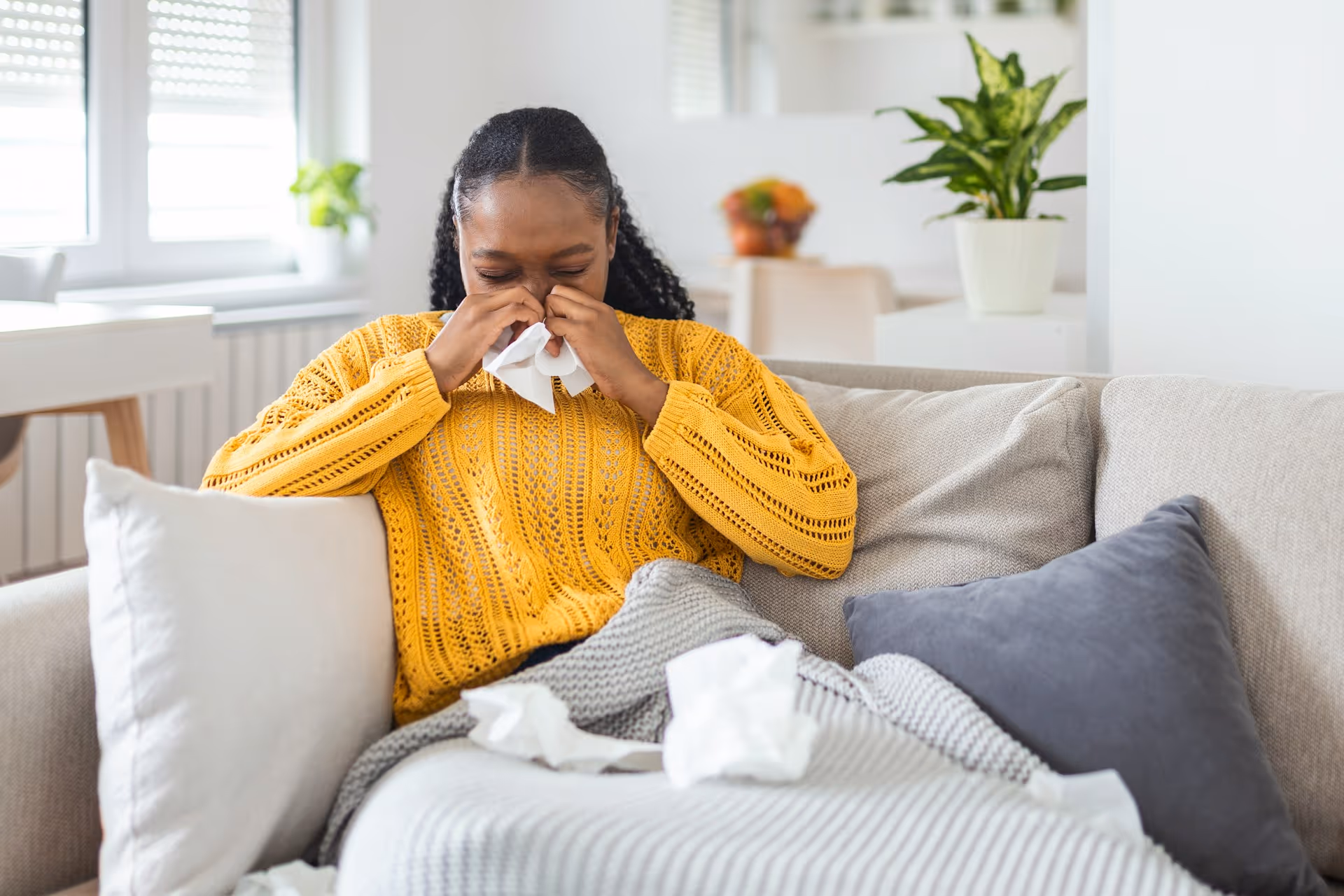 Improving Air Quality: Lake Stevens Pollen Solutions