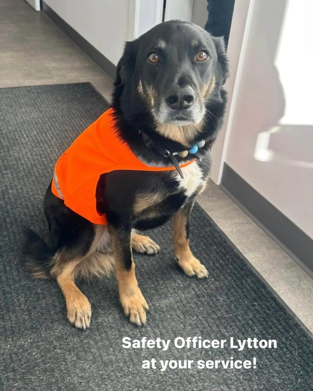 Lytton 