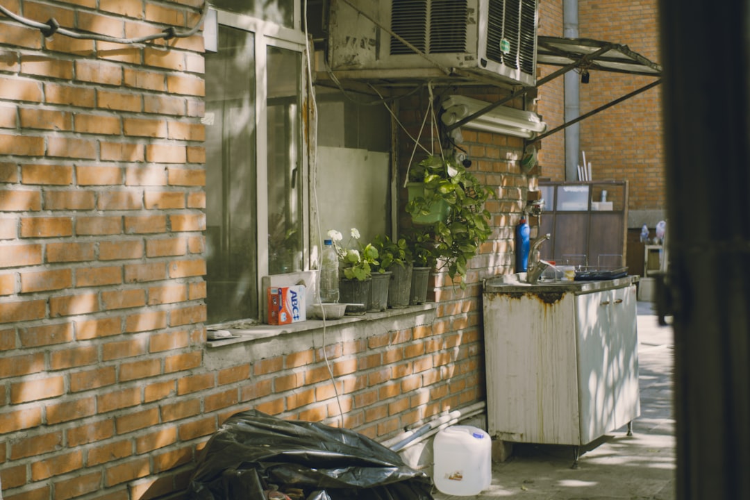 Clean outdoor condenser unit in backyard Clean outdoor condenser unit in backyard