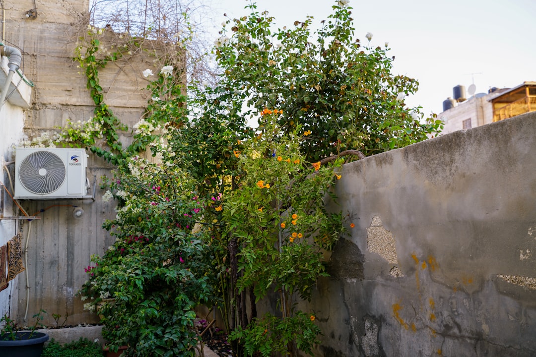 A clean outdoor AC condenser unit free of debris and surrounded by trimmed grass - spring ac and hvac maintenance for the