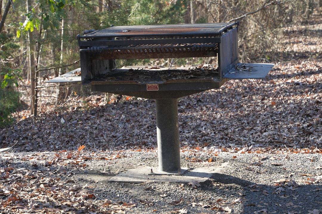 outdoor heat pump unit with leaves and debris around it - heat pump tune up langley bc outdoor heat pump unit with leaves and debris around it - heat pump tune up langley bc