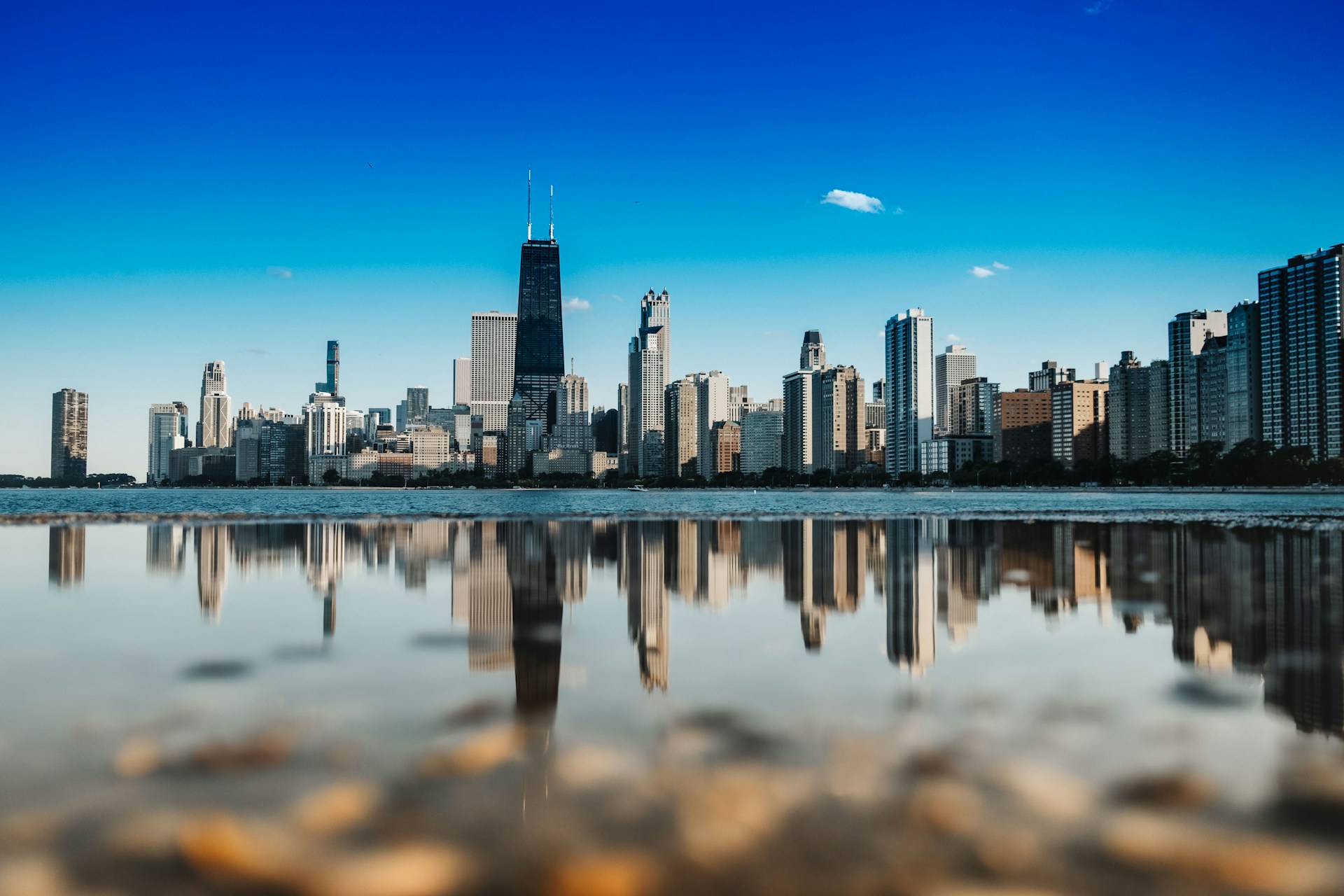 Family Trust Disputes and Estate Litigation: Protecting Your Interests in Illinois