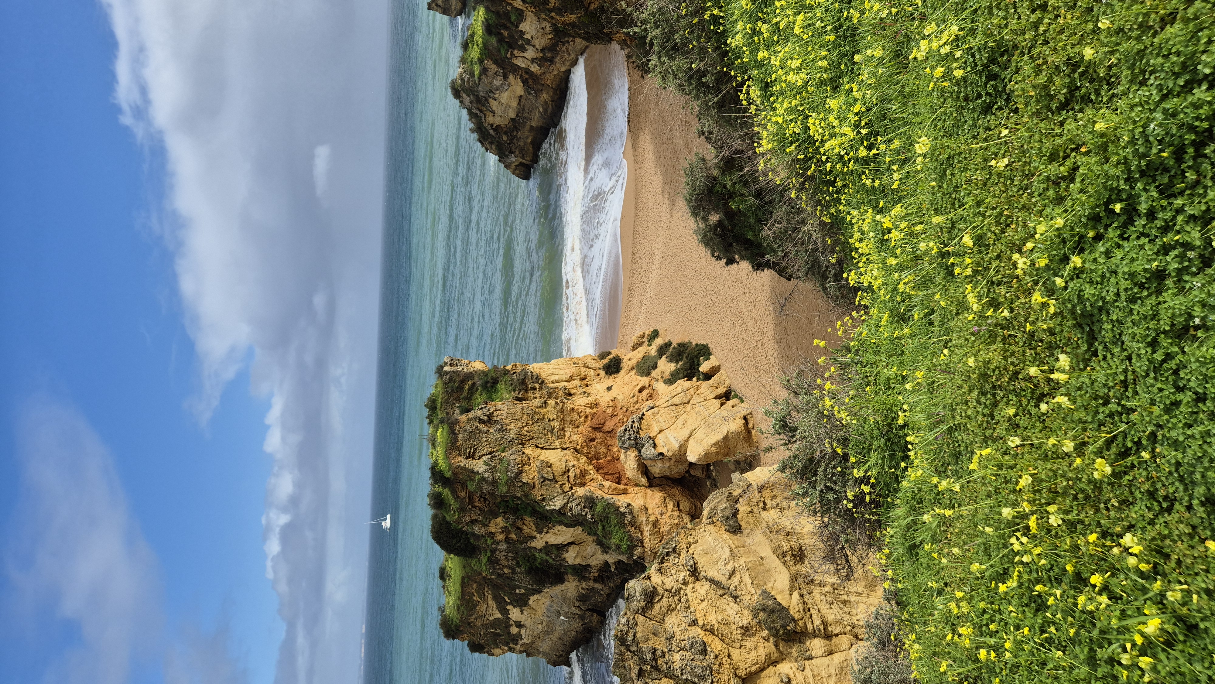 Die Entscheidung – und warum wir ausgewandert sind