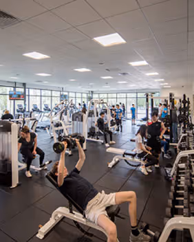 People working out using weightlifting and cardio machines in a spacious gym with large windows.