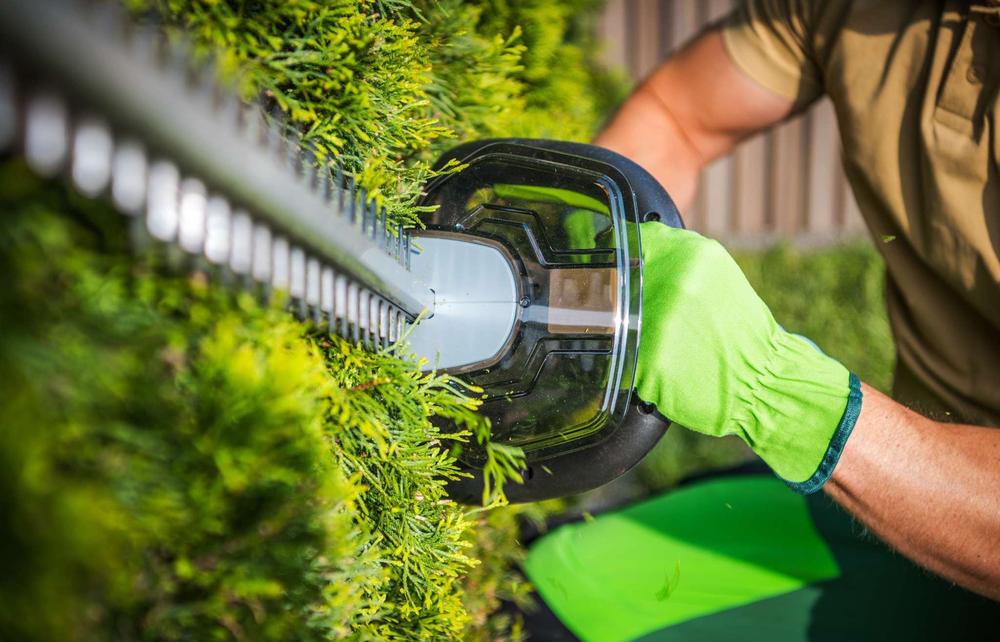 Hedge shaping