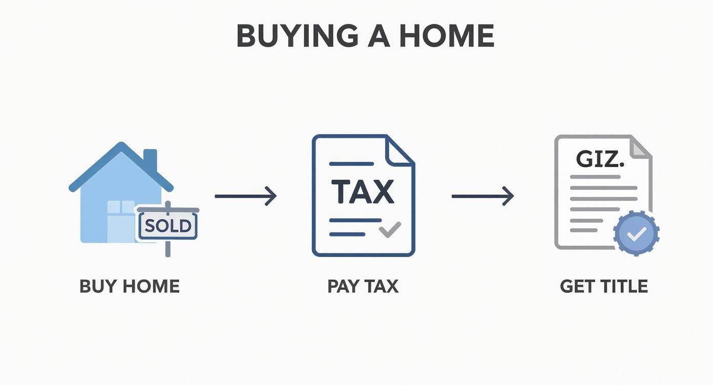 Infographic about what is a land transfer tax