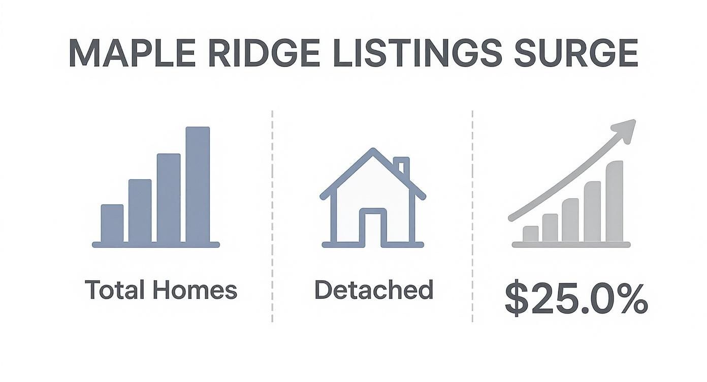 Infographic showing the increase in Maple Ridge real estate listings for total homes, detached homes, and townhouses.