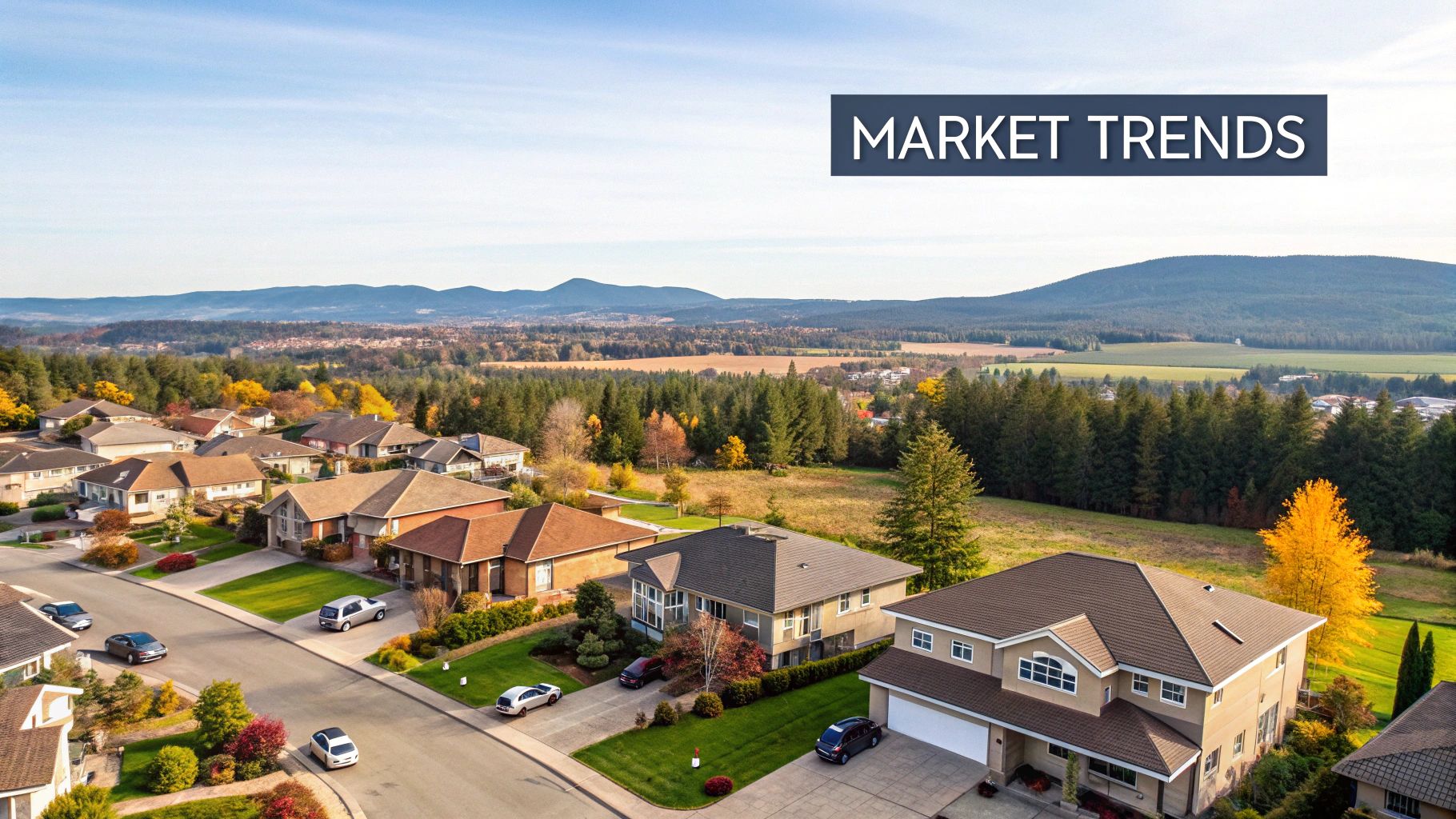 A bright, modern kitchen in a Maple Ridge house for sale