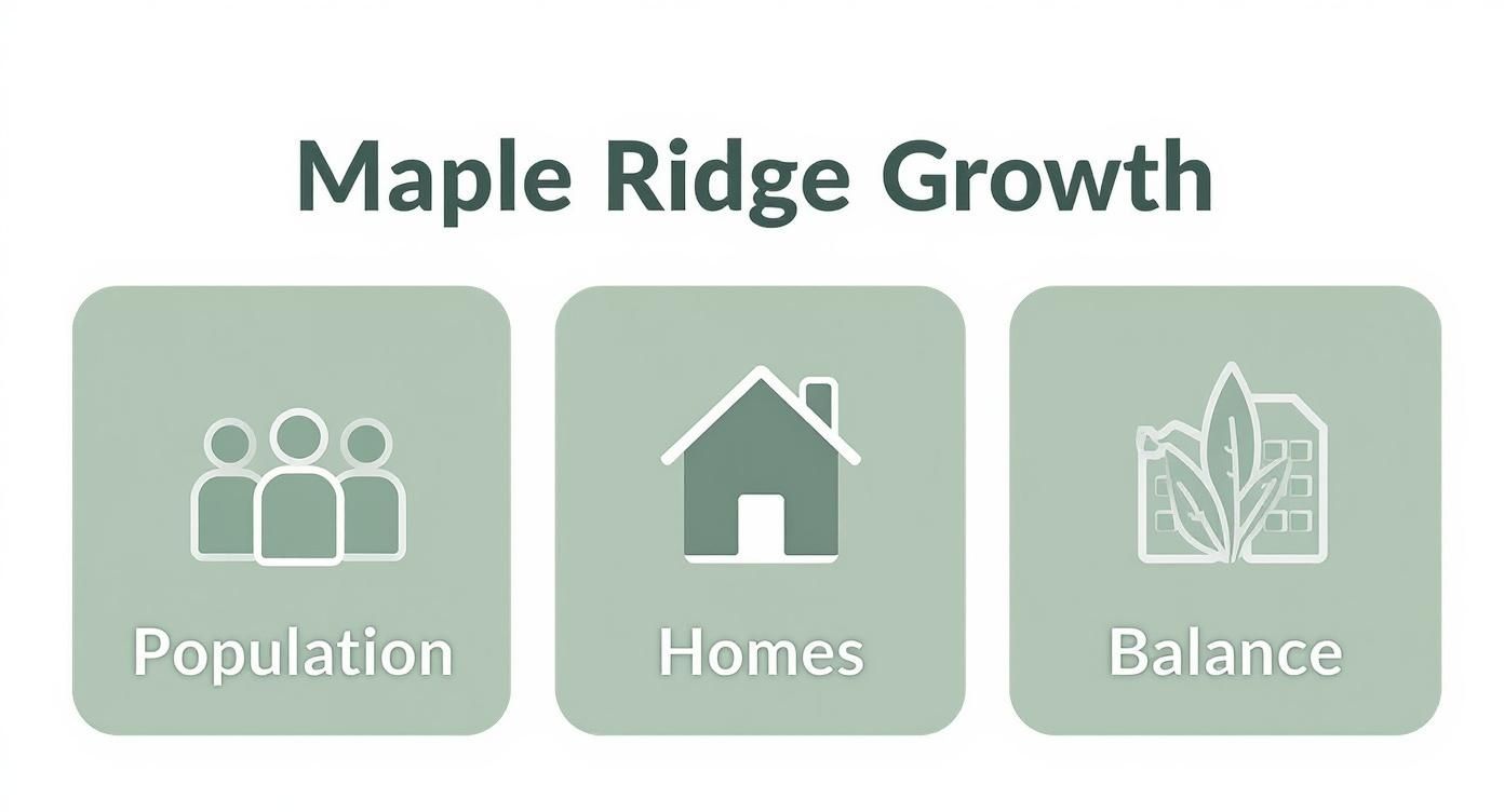 An infographic titled 'Maple Ridge Growth' with three icons representing population, homes, and balance.