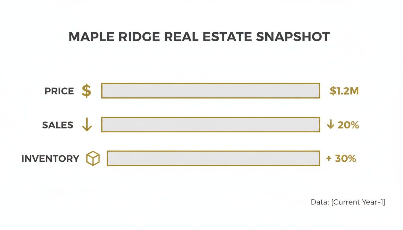 Infographic about real estate maple ridge