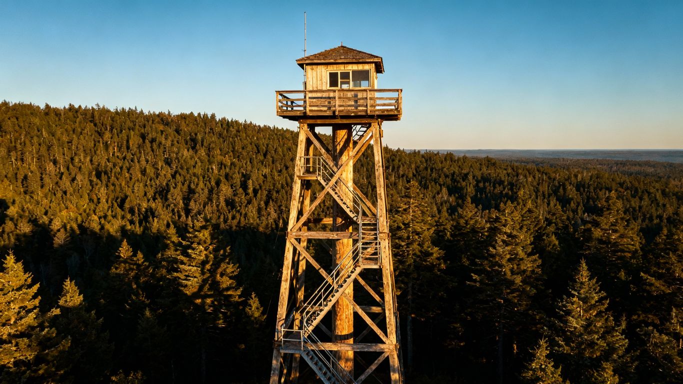 Fire tower in Northern BC forest