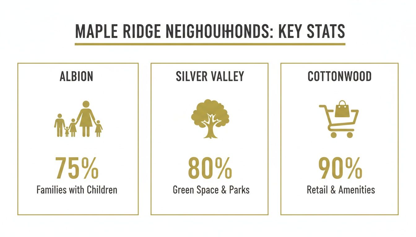 Maple Ridge neighbourhoods key statistics infographic, detailing family life, green spaces, and retail amenities.