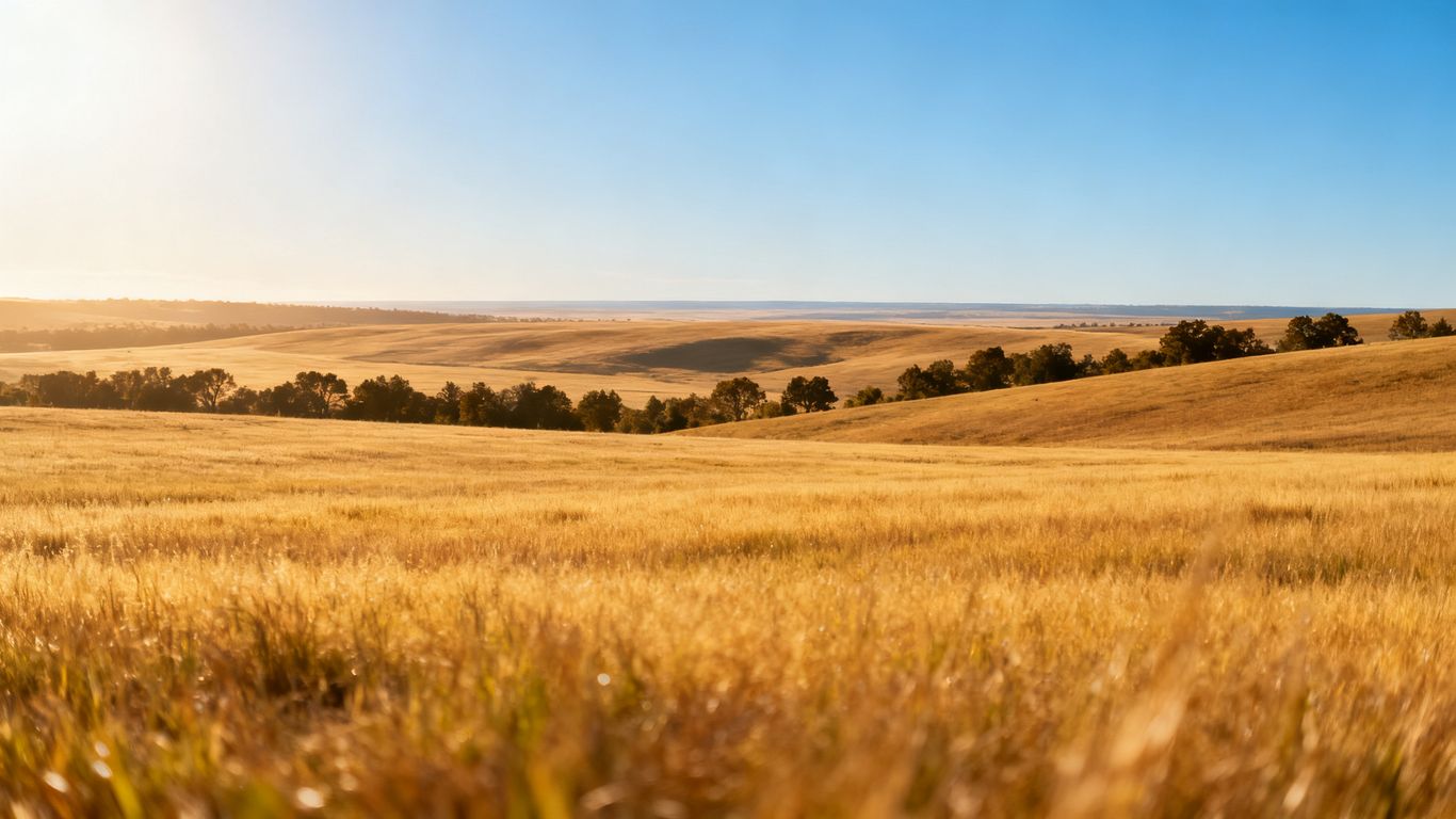 Expansive prairie landscape with golden fields under a blue sky.