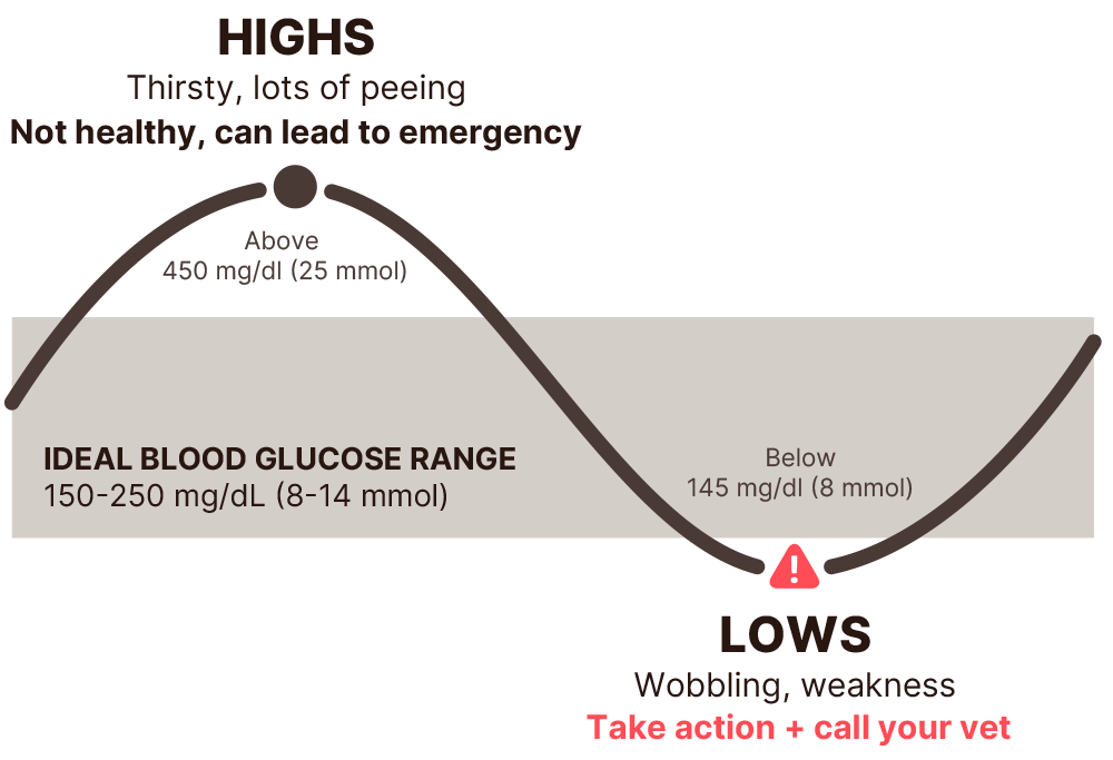 A chart that shows what to look for with blood glucose highs and lows