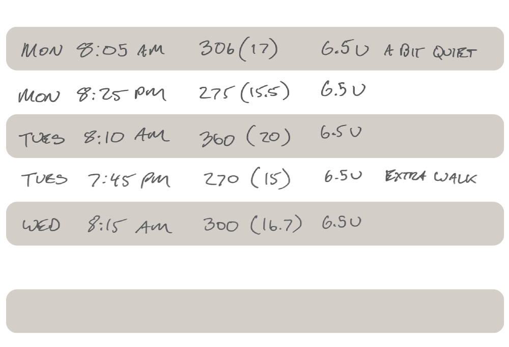 An example of the type of records a parent of a diabetic dog should keep