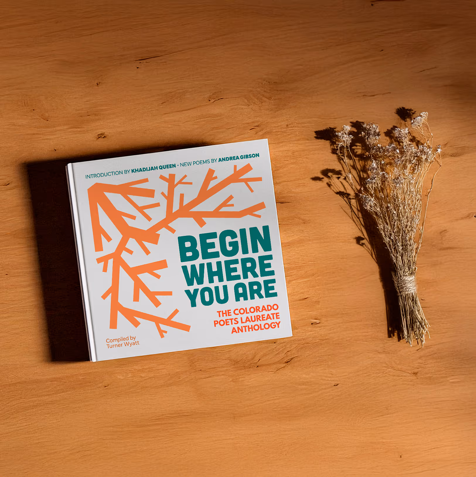 A photograph of the book "Begin Where You Are"