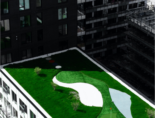 Green rooftop