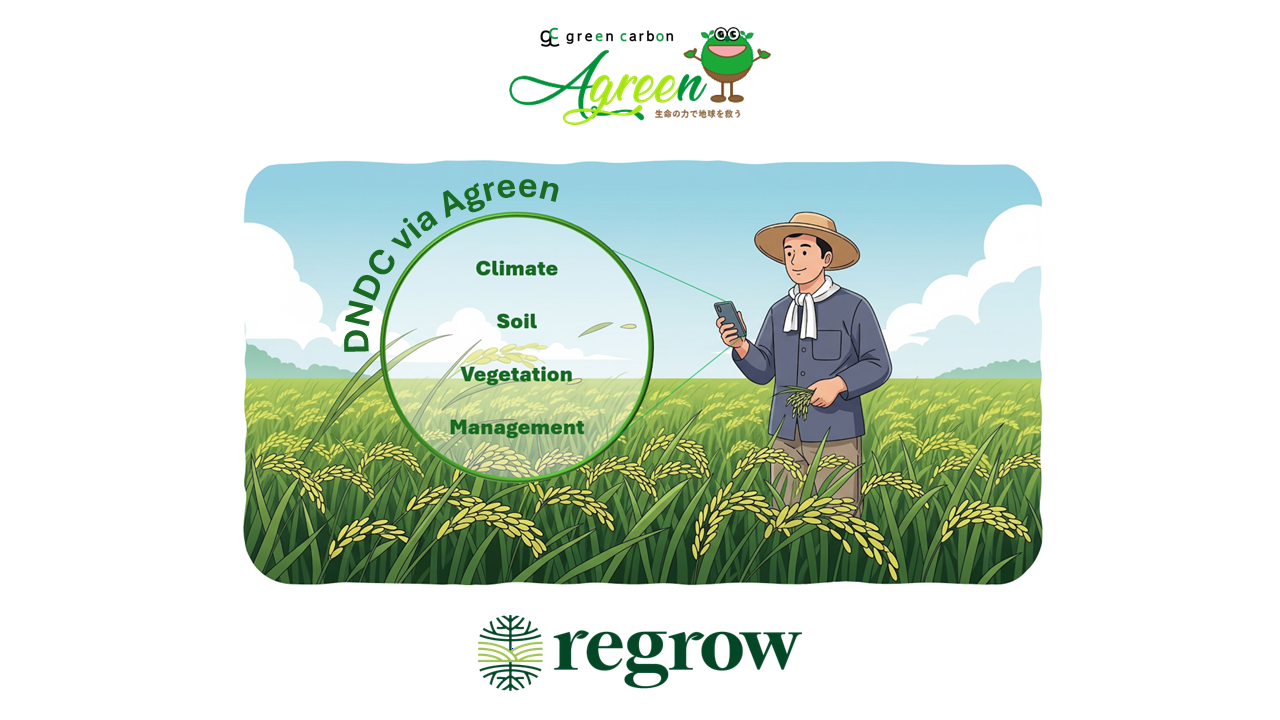 A person in a fieldAI-generated content may be incorrect.