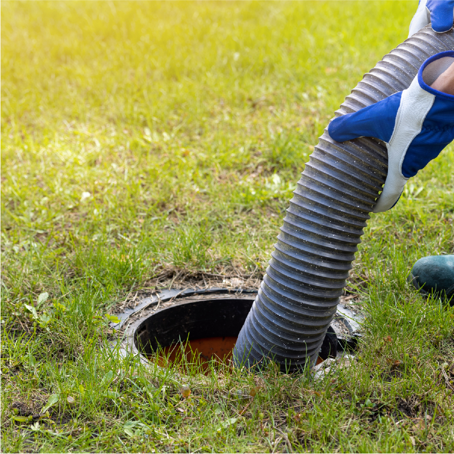 Bad Dad Construction Services in Septic and drain fields