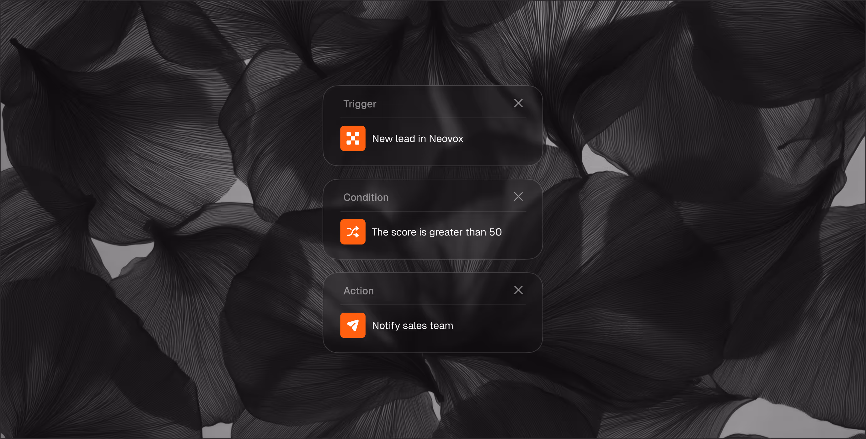 SaaS  startup software Webflow template 