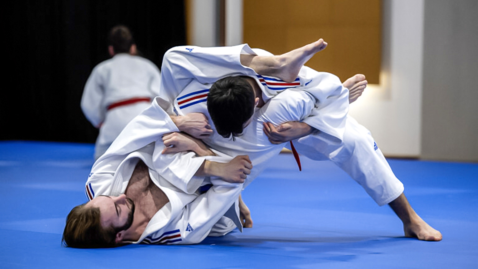 Pratiquants de BJJ Brazilian Jiu Jitsu 