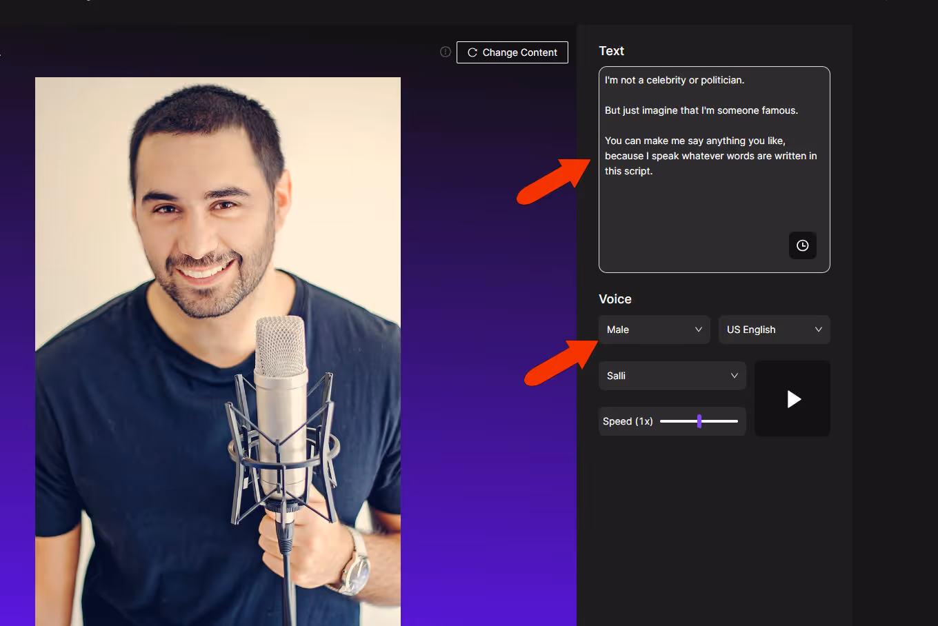 Inputting text to your text to image talking photo tool