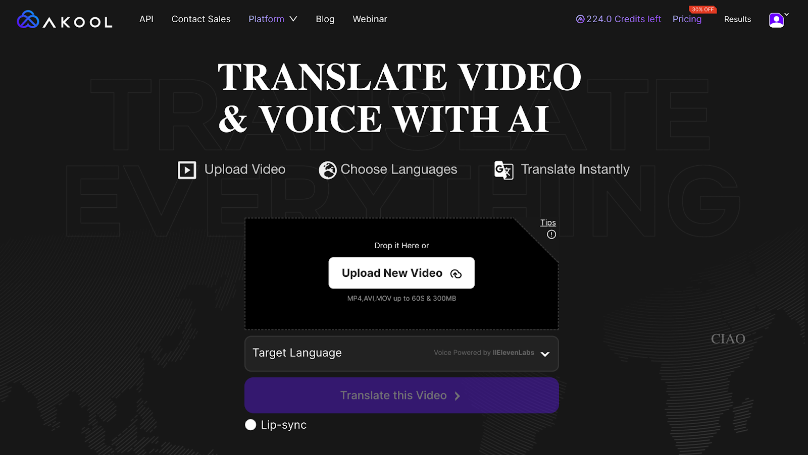 translate video and voice with ai feature