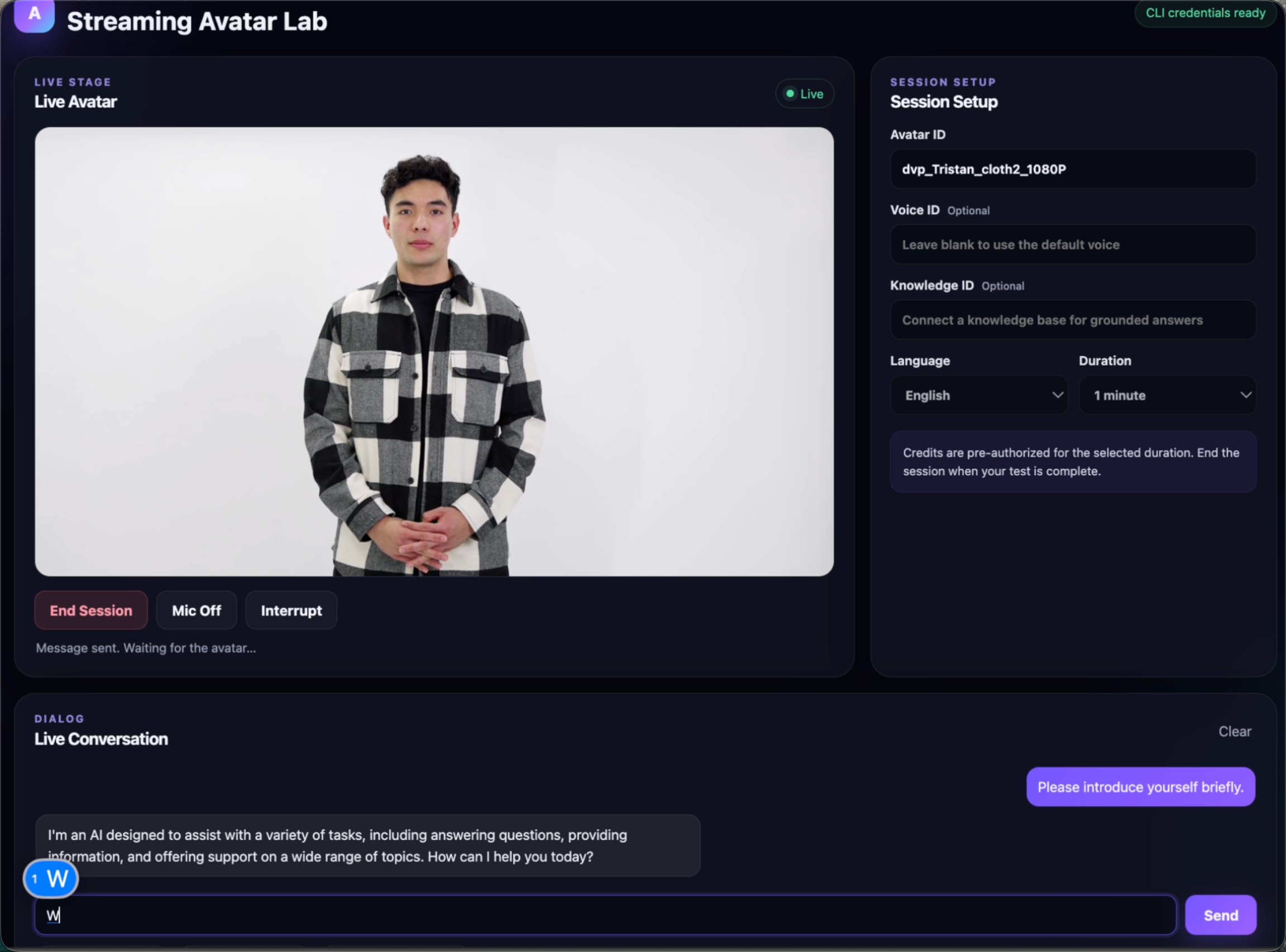 The image shows the interface of the Streaming Avatar Lab. On the left, there is a "Live Avatar" section with a person in a black and white checkered shirt standing against a white background, and buttons like "End Session", "Mic Off", and "Interrupt" below. On the right, the "SESSION SETUP" area displays "Avatar ID" as "dvp_tristan_sloth2_3080P", "Voice ID" as "Optional", "Knowledge ID" as "Optional", "Language" as "English", and "Duration" as "1 minute". At the bottom, there is a "Live Conversation" section with a message from the AI asking "How can I help you?" and a "Please introduce yourself briefly" button.