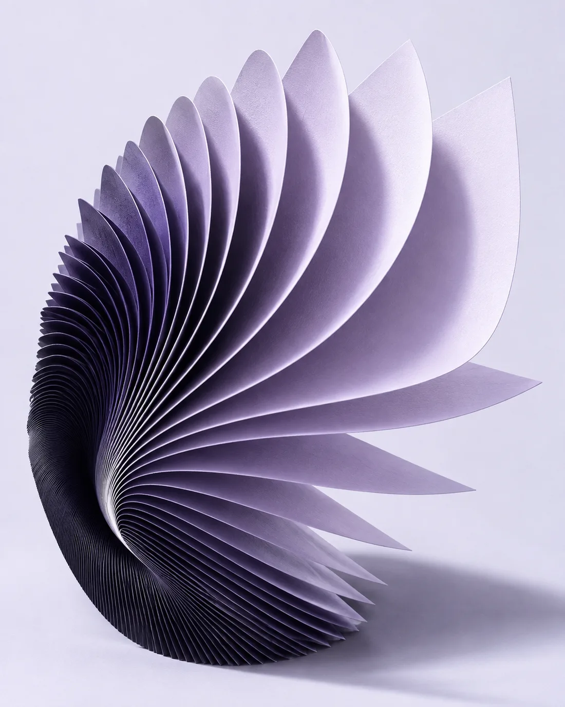 Sculptural violet paper opening into a fan