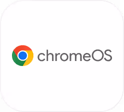Chrome Logo