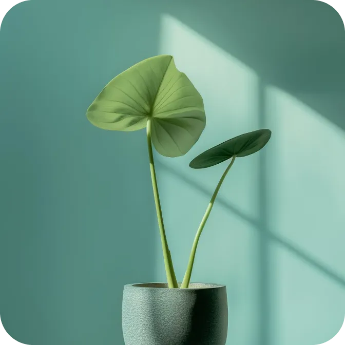 AirCanvas - Webflow Template Image