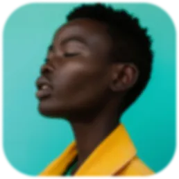 AirCanvas - Webflow Template Image