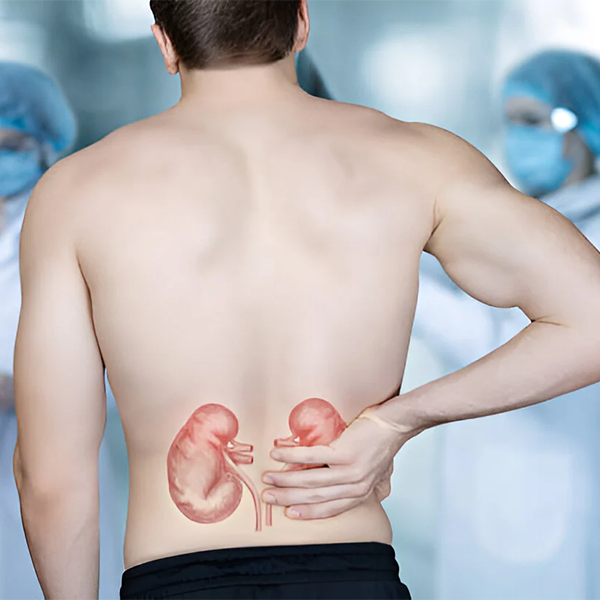 Treatment of Internal Ailments including Kidneys, Liver, Lung Function, and much more by Healthy Naturally You