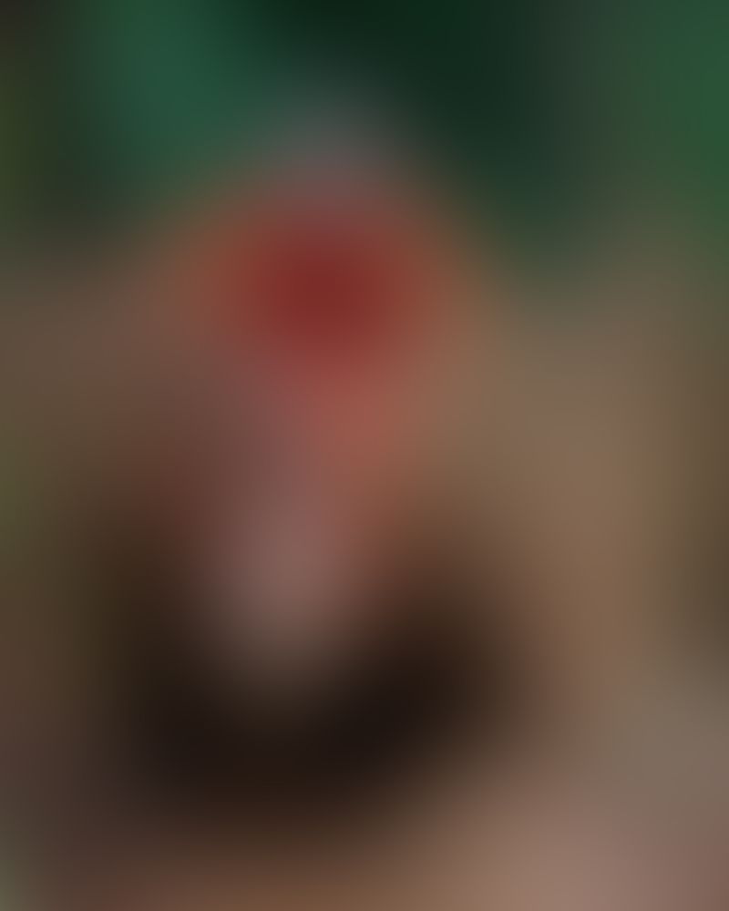 Ltx 2 Video Generation Api Ltx Model